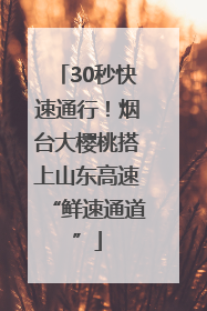 30秒快速通行！烟台大樱桃搭上山东高速“鲜速通道”
