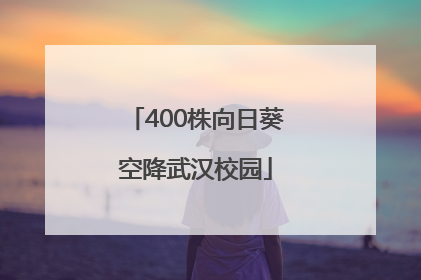 400株向日葵空降武汉校园