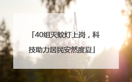 40组灭蚊灯上岗，科技助力居民安然度夏