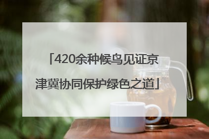 420余种候鸟见证京津冀协同保护绿色之道