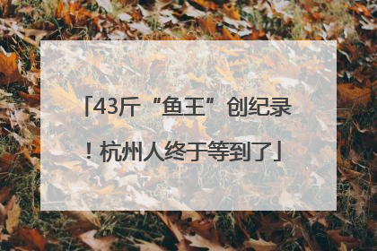 43斤“鱼王”创纪录！杭州人终于等到了