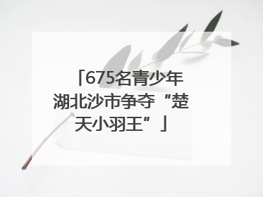675名青少年湖北沙市争夺“楚天小羽王”