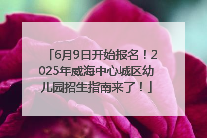 6月9日开始报名！2025年威海中心城区幼儿园招生指南来了！