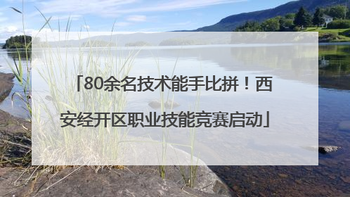 80余名技术能手比拼！西安经开区职业技能竞赛启动