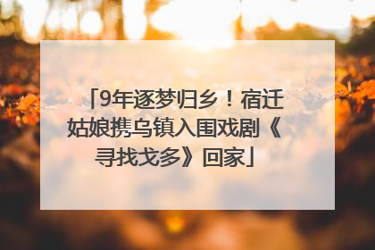 9年逐梦归乡！宿迁姑娘携乌镇入围戏剧《寻找戈多》回家