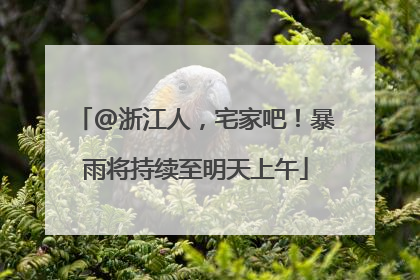 @浙江人，宅家吧！暴雨将持续至明天上午