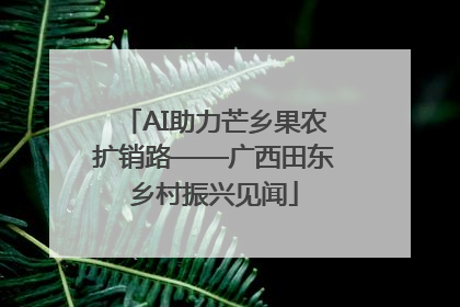 AI助力芒乡果农扩销路——广西田东乡村振兴见闻