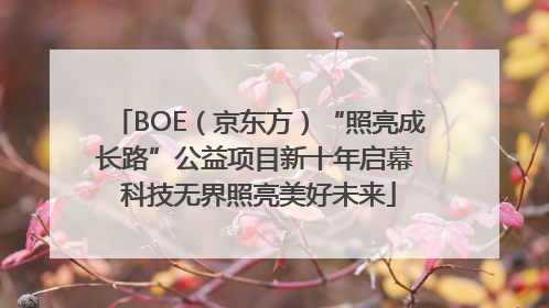 BOE（京东方）“照亮成长路”公益项目新十年启幕 科技无界照亮美好未来