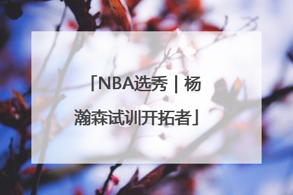 NBA选秀｜杨瀚森试训开拓者
