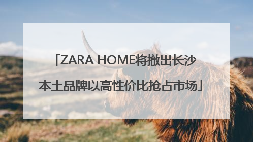 ZARA HOME将撤出长沙 本土品牌以高性价比抢占市场